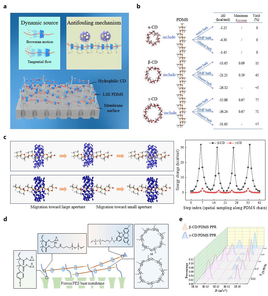 �����ӽṹ�붯̬��ģ�⡢����